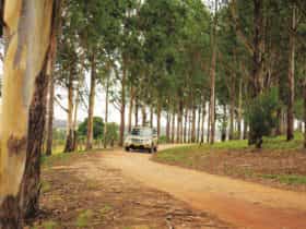 South Burnett Drives