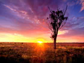 Sunset, Western Downs