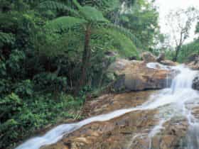 Finch Hatton Gorge Waterfall