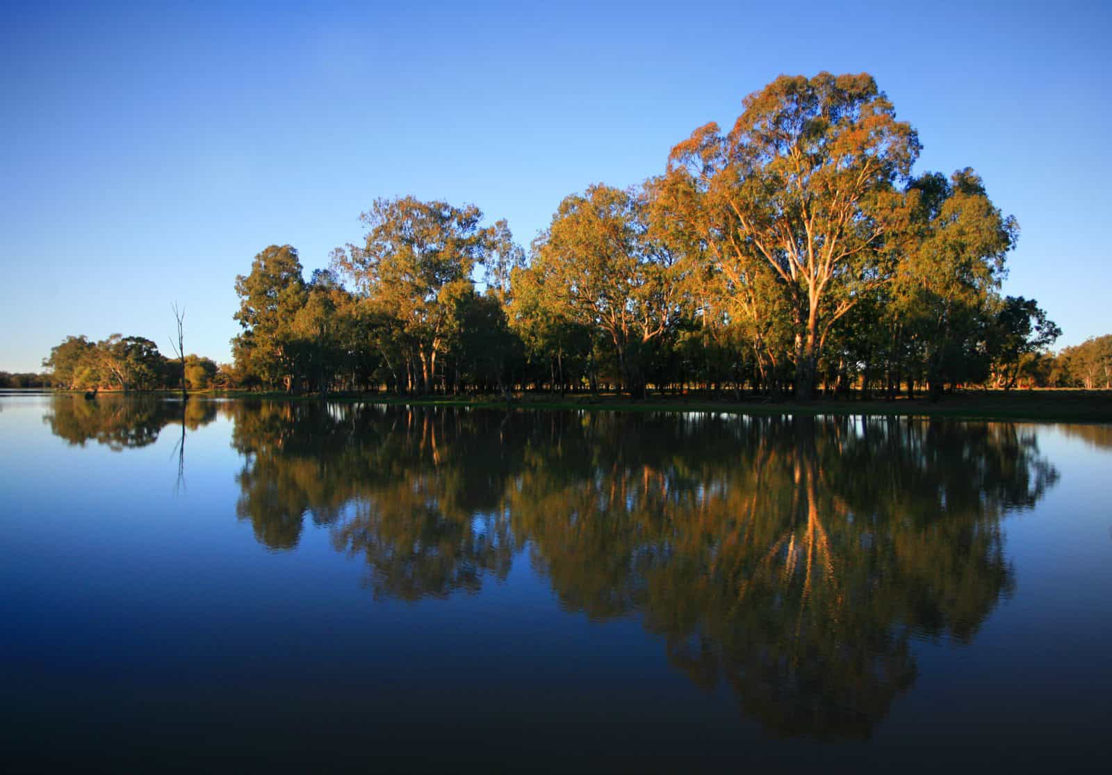 Lagoon, Glenmorgan