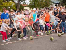 Goomeri Pumpkin Festival