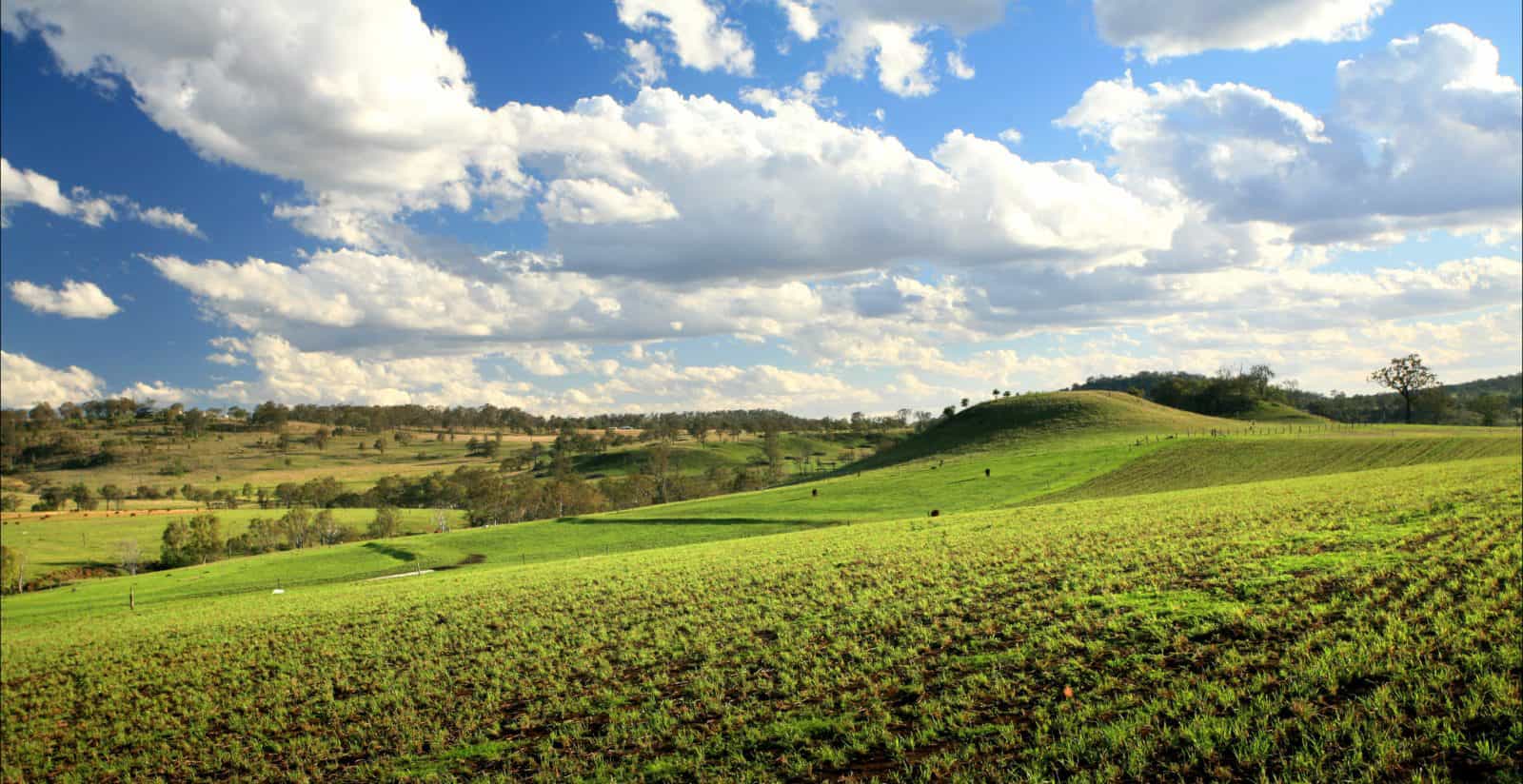 Hodgson Vale Views