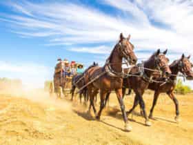 The Cobb & Co Stage Coach Experience