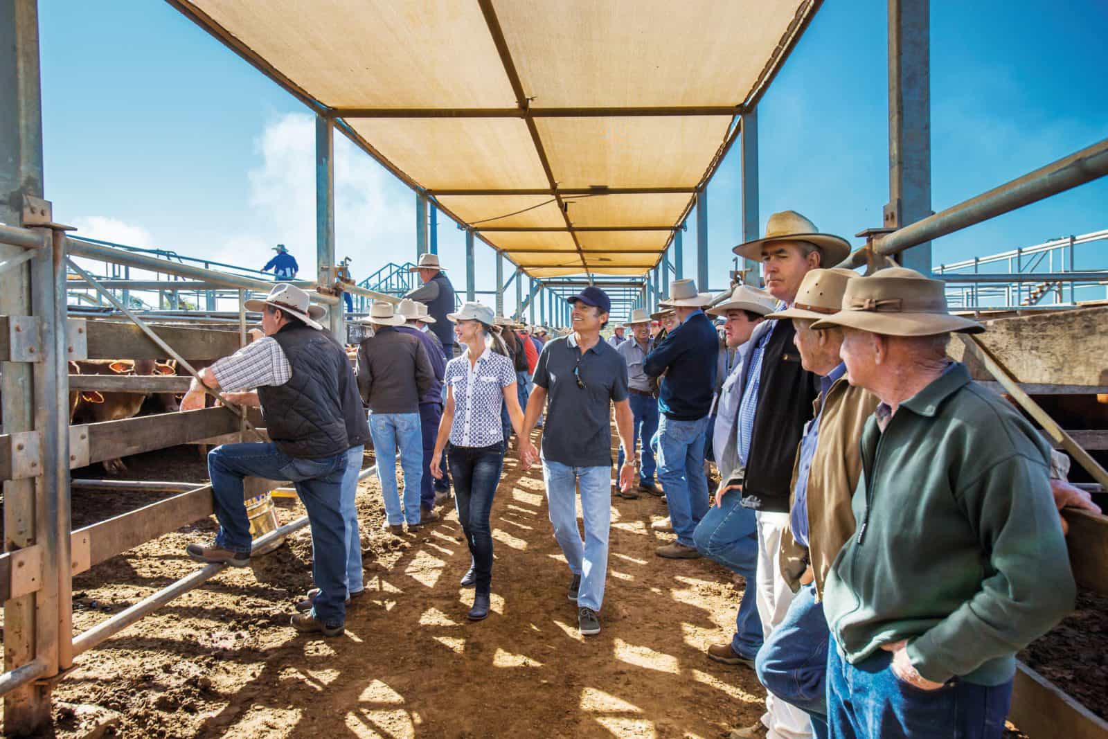 The Roma Saleyards