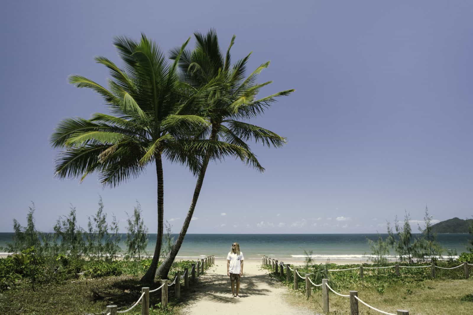 Palm tree at South Mission beach