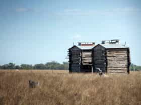 Tobacco Barns. Texas