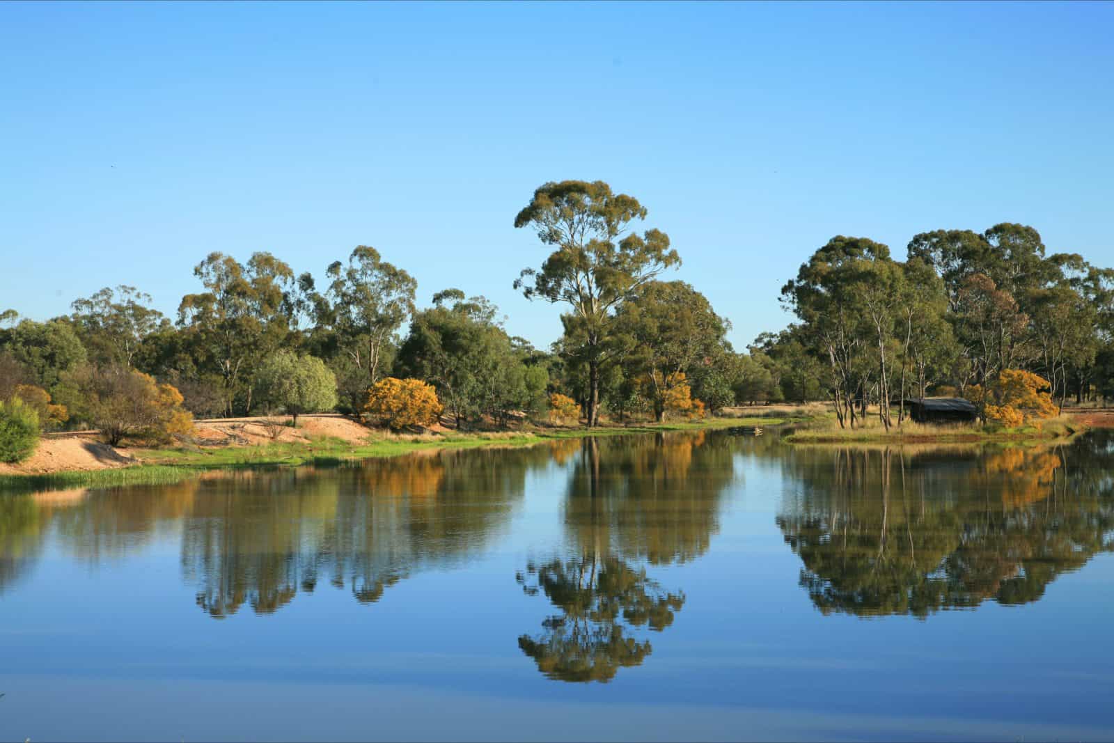 Wattle Downs, The Gums
