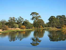 Wattle Downs, The Gums