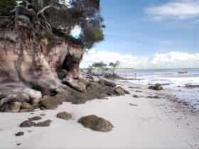 Tinnanbar, Fraser Coast, Queensland.