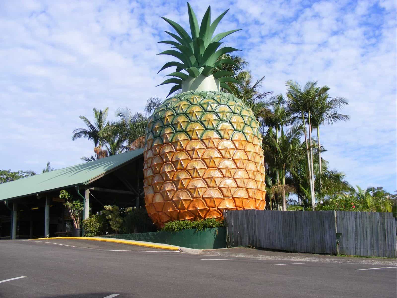 The Big Pineapple