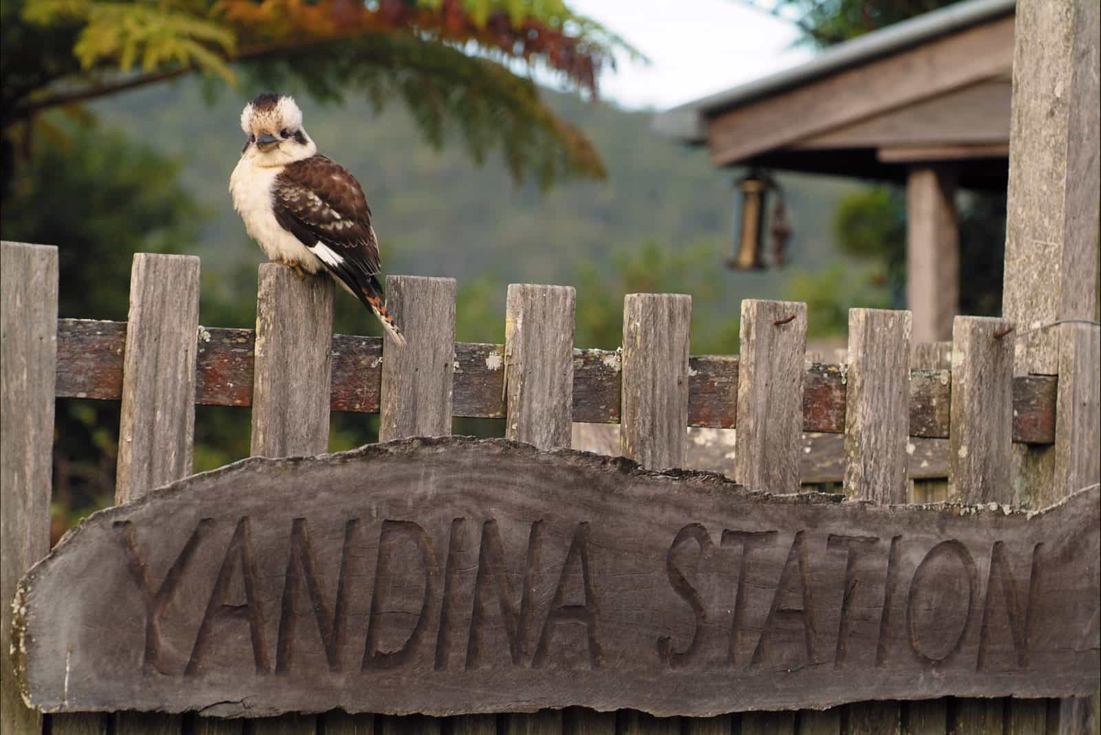 Yandina in the Sunshine Coast Hinterland