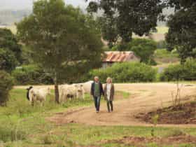 Walking, Southern Queensland Country