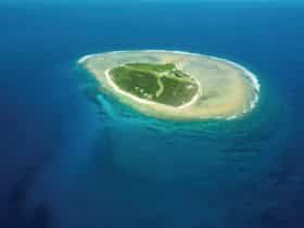 View of Lady Elliot Island
