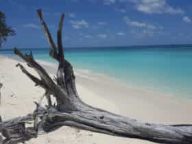 North West Island