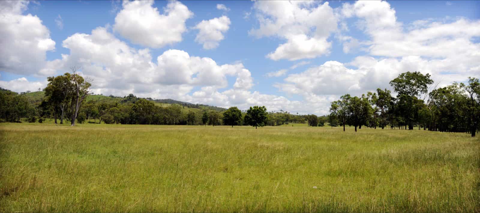Ubobo - Boyne Valley