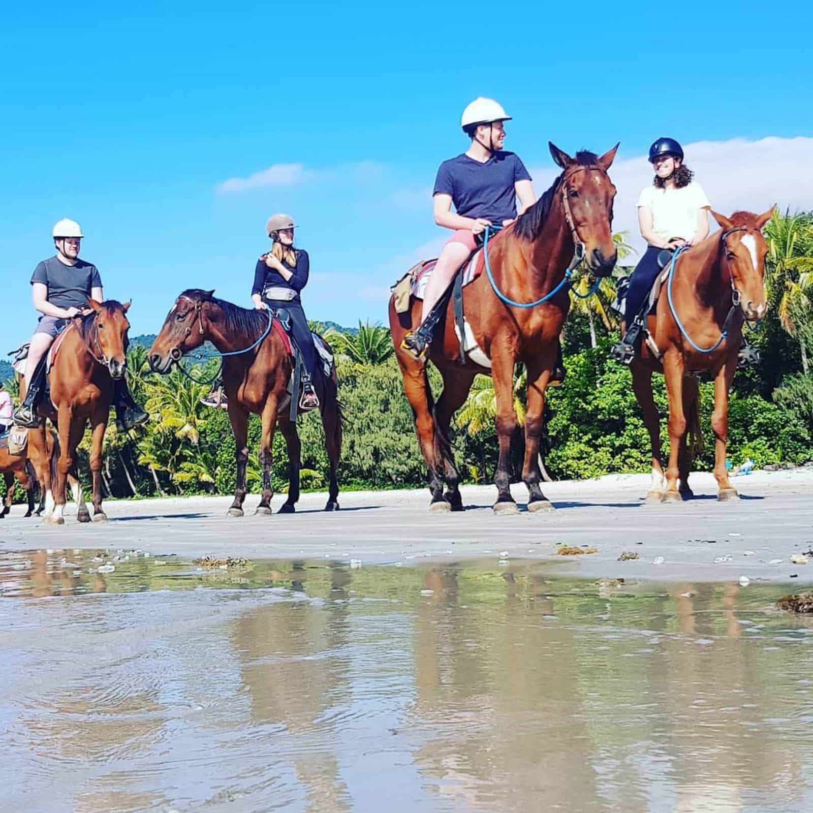 Cape Trib Horse Rides Beach Horse Ride Tour