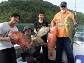 4 anglers holding their catch of the day. Red throat Emperor