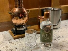 alembic 1 bottle still, mountain gin