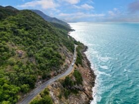 Aerial view of coaches on coastal road with rainforest clad mountains meeting the sea