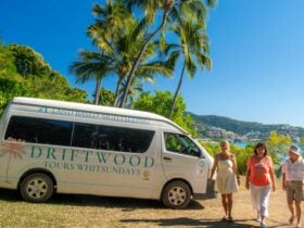 Perfect way to see the Whitsundays will a local experienced guide. guide