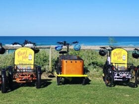 Lineup of E-Trike rentals on the Gold Coast beachfront, e-bike alternatives for sightseeing.
