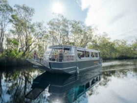 Eco Boat