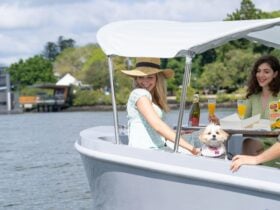 GoBoat B1