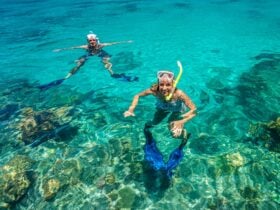 Snorkellers great barrier reef