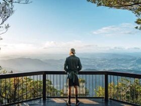 Gold Coast Hinterland