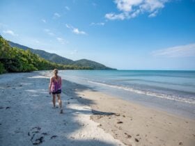cape-tribulation