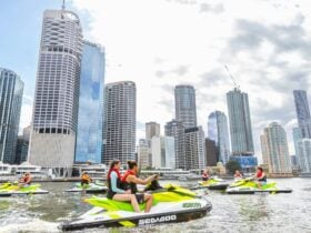 best tour on the brisbane river
