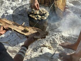 cooking up wongs (pippies) on the beach