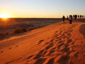 Karrabee Outback Pubs Tour Birdsville Races Big Red Sunset Drinks