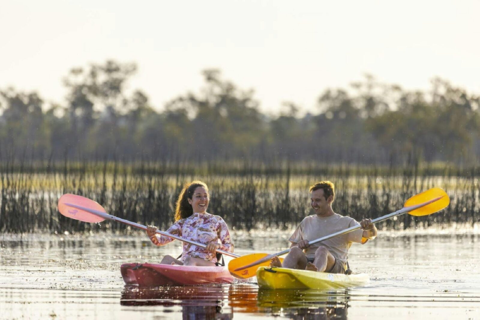 Kayak Tour
