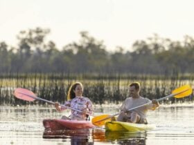 Kayak Tour