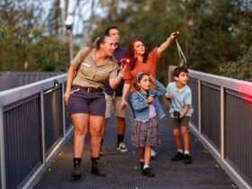 A wildlife guide leading children and families on a twilight tour through Lone Pine Koala Sanctuary.
