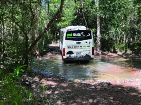 MI Ride Eco Tour traverses creeks amongst bushland along the West Point track on Magnetic Island.