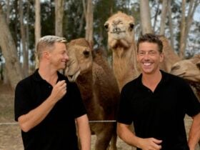 Meet your co founders and camels