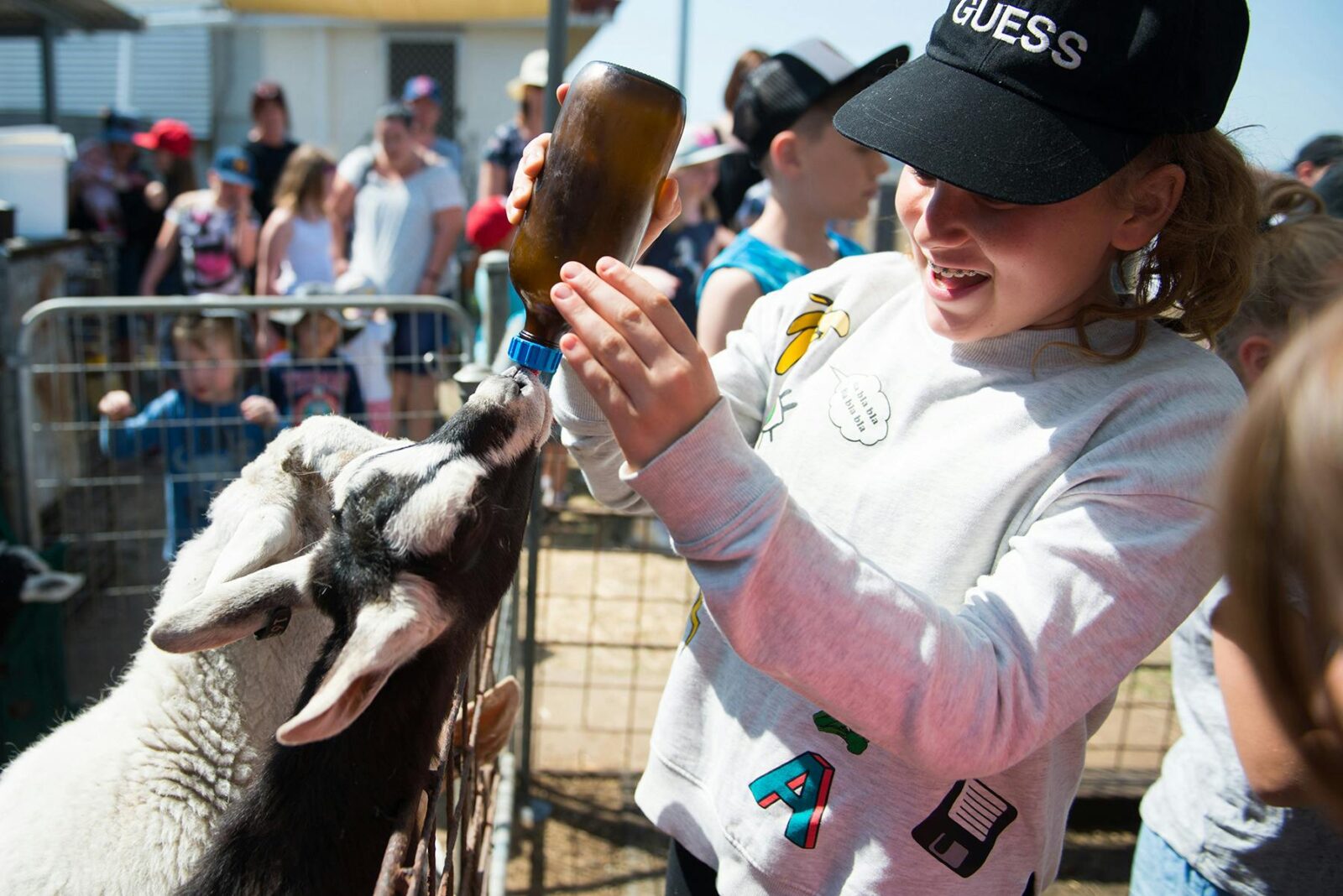 A young girl laughs while a kid and a lamb fight over drinking the bottle.