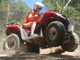 Awesome fun