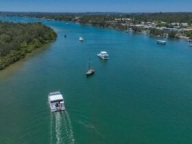 Aerial photo of the noosa queen