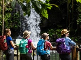 Guided Walks Scenic Rim