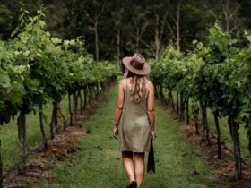 Luxury Wine Tours