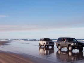 Pippies Fraser Island Tours