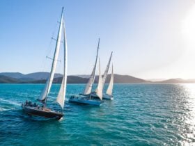 Prosail fleet