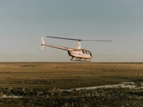 Scenic flights customised in outback Queensland over Thomson river and channel country
