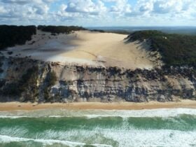View the awesome sites of Carlo Sand Blow 35 hectares of sand swept paradise amongst thick follage