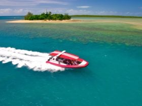 Fast, fun boat trips to the reef