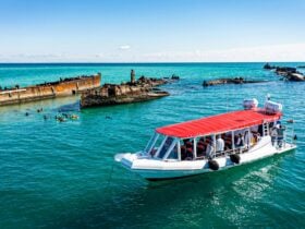 Best of Moreton Bay Island Tour | River to Bay