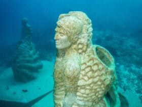 Ocean Sentinels at John Brewer Reef